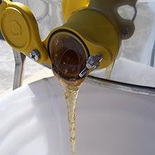 Extraction