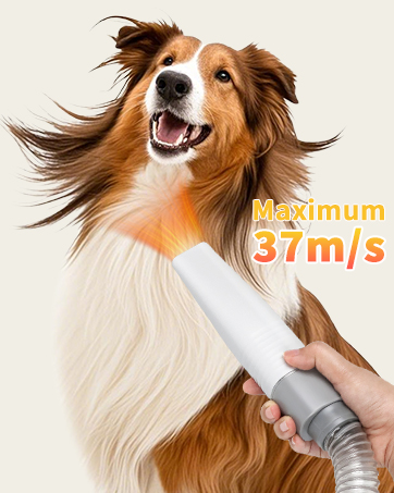 pet dryer
