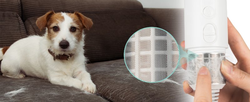 dog dryer