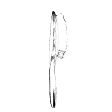 Brush drawing 3