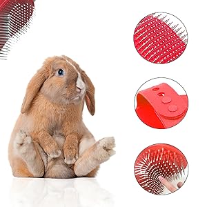 rabbit grooming kit guinea pig grooming kit