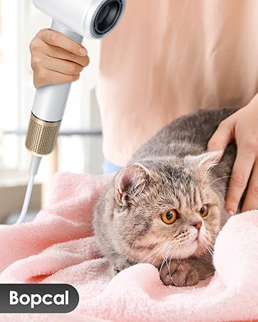 Hair Dryer Diffuser