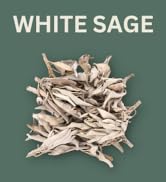 California White Sage - Loose Leaves & Clusters (Salvia apiana)