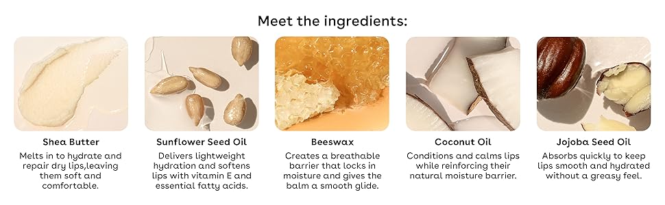 core lip ingredients