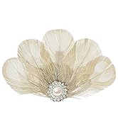 BABEYOND Peacock Feather Hair Clip Peacock Fascinator with Rhinestones Roaring 20s Peacock Flappe...