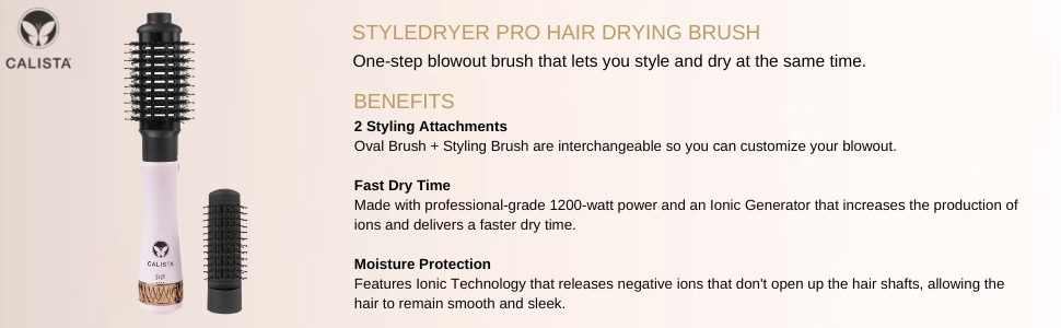 Stylerdyer Pro Hair Drying Brush