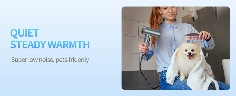 portable hair dryer