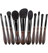 powder brushes (black 10)