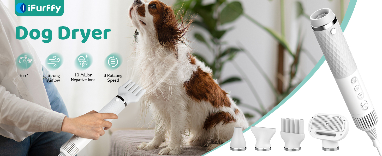 dog hair dryer