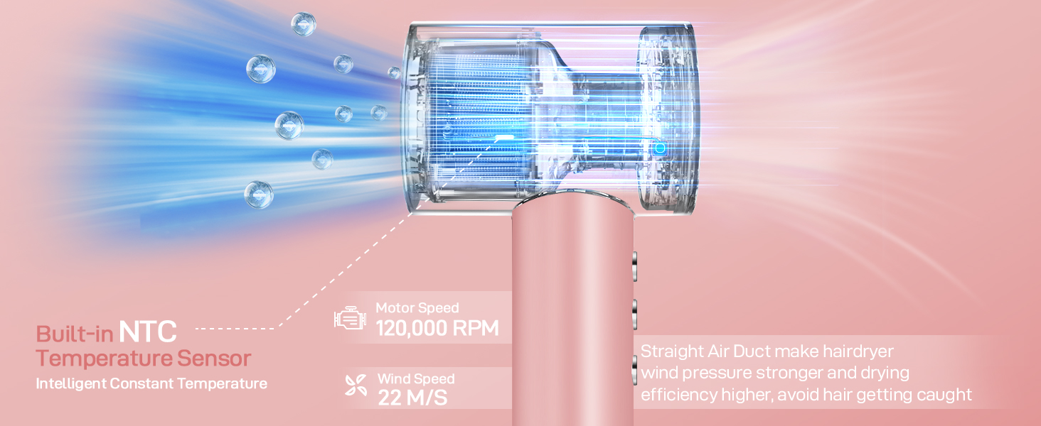 Brushless Hair Dryer