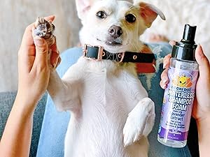 white dog laying on back with belly up next to waterless shampoo