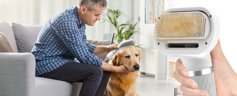 dog blow dryer