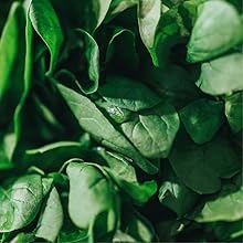 aa