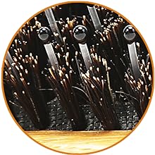 pure boar bristles