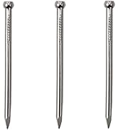 600pcs Hardware Nails, 1'' × 17 Ga Nickel Plated Hanging Nails, Wall Nails for Hanging Pictures, ...