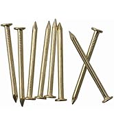 550pcs Gold Hardware Nails, 1'' × 16 Ga Brass Plated Wood Nails, Nails for Hanging Pictures, Fini...