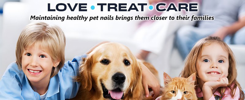 Diamond dog nail grinder bit for pet