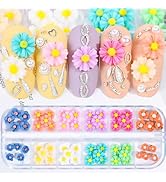 Tyuimhx 60Pcs Colorful Flowers Nail Charms 3D Daisy Nail Art Charms White Green Pink Blue Orange ...