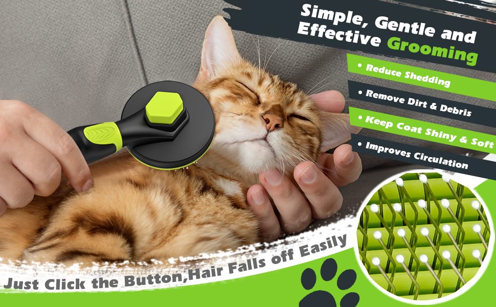 cat brush for shedding