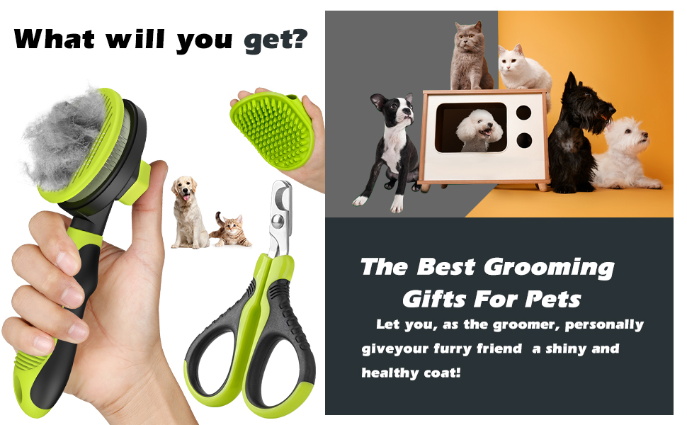 cat brush