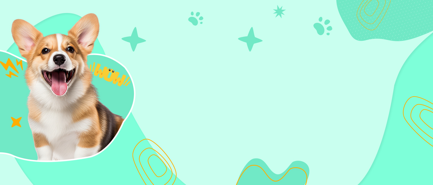 dog support