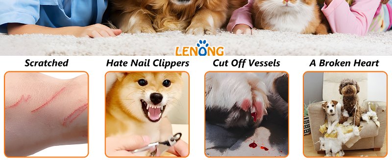 Pet nail grinder replacement head for dog