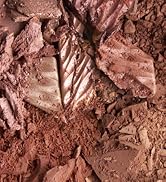 Monochromatic Bronzer