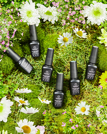 Fresh Picks for Spring
