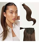 Ponytail Clip-In Extensions