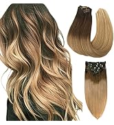 Real Hair Extensions Clip in Dark Brown to Chestnut Fading to Ash Brown Ombre Hair 7Pcs 120G Full...