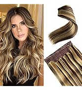 Remy Hair Extensions Ombre Brown to Ash Blonde with Blonde Highlights Balayage Wire Real Hair Ext...