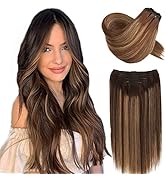 Clip in Hair Extensions Full Head Silky Straight Balayage Chocolate Brown to Caramel Blonde Remy ...