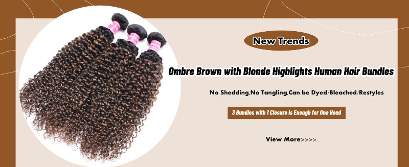 unice ombre brown with blonde highlights jerry curly human hair bundles with closure