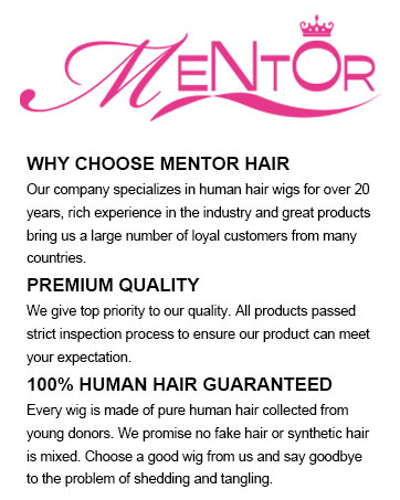 MENTOR human hair wig
