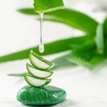 AloeVera