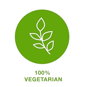 100% Vegetarian