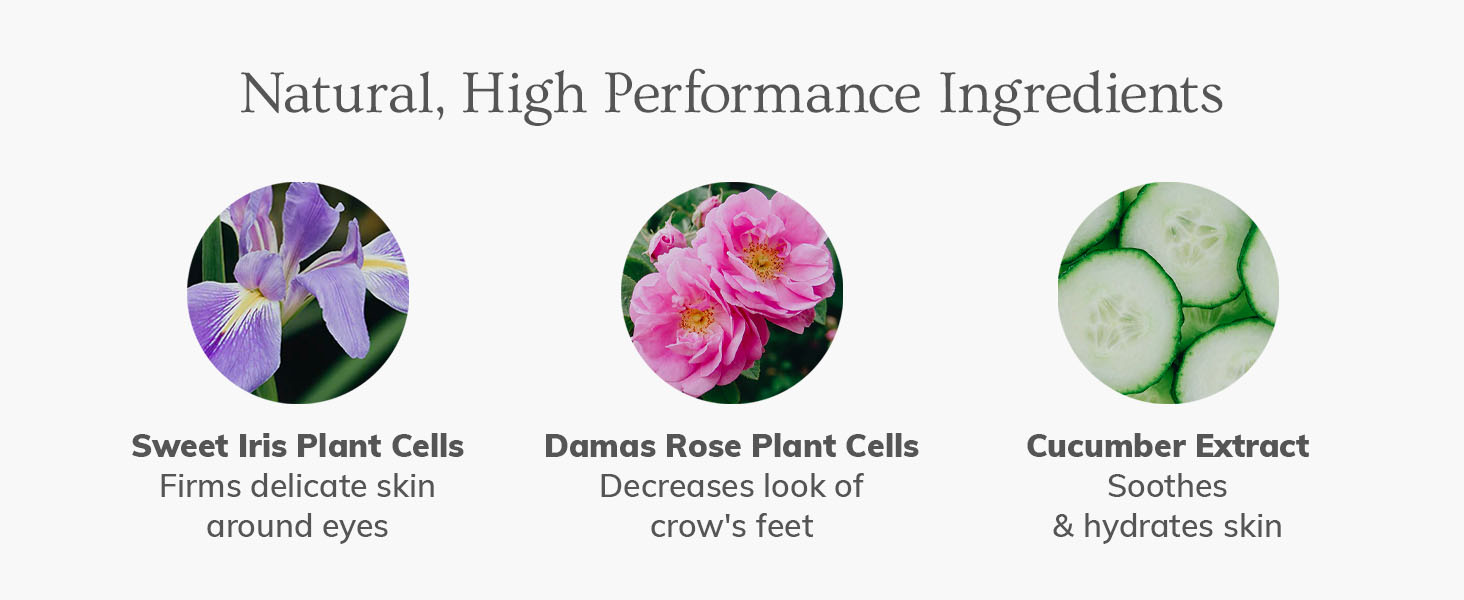 Eye Cream Ingredients 