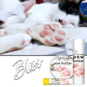 Cat Paw Butter Sizes