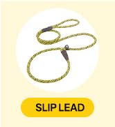 P leash
