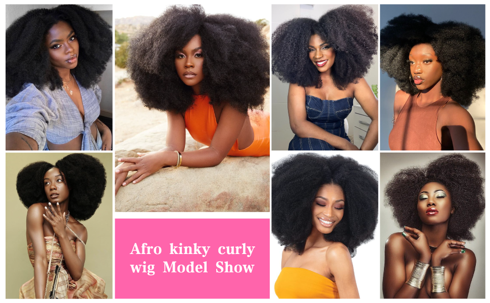 Afro Kinky Curly Wig
