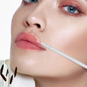 Lip Brush