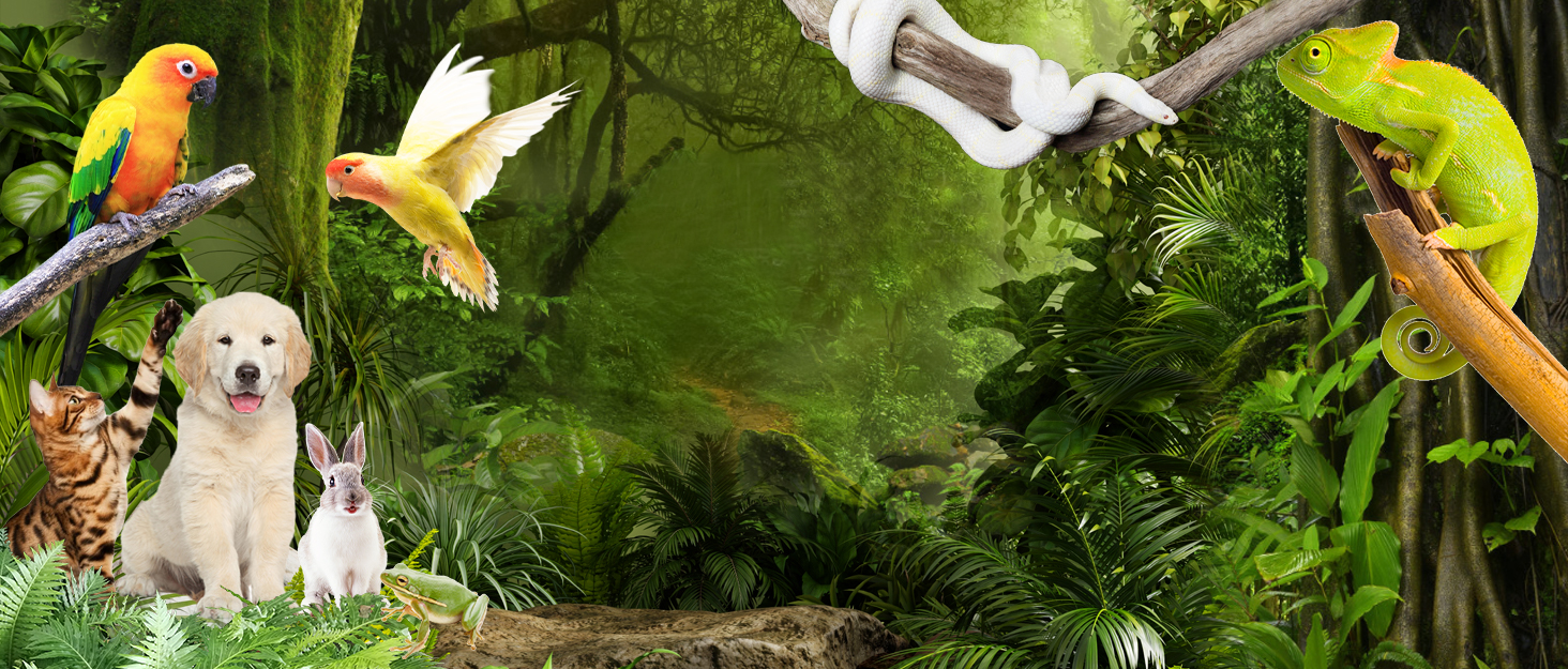 provide products for hamsters, rabbits, turtles, lizards, cats, dogs, birds, rodents and reptiles,