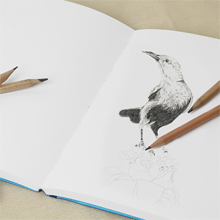 ProArt SketchBook
