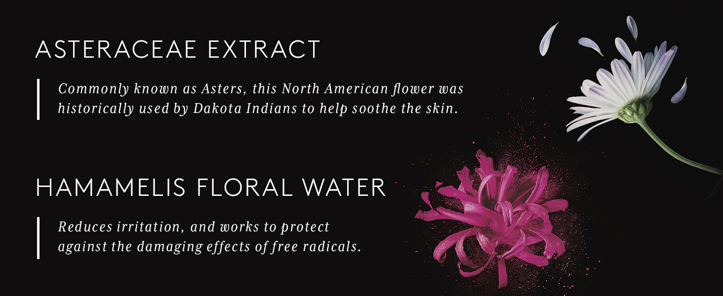 Astera Extract