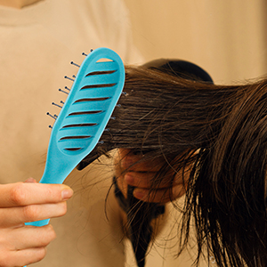 FIXBODY Curved Vent Hair Brush for Blow Drying, Styling and Solon