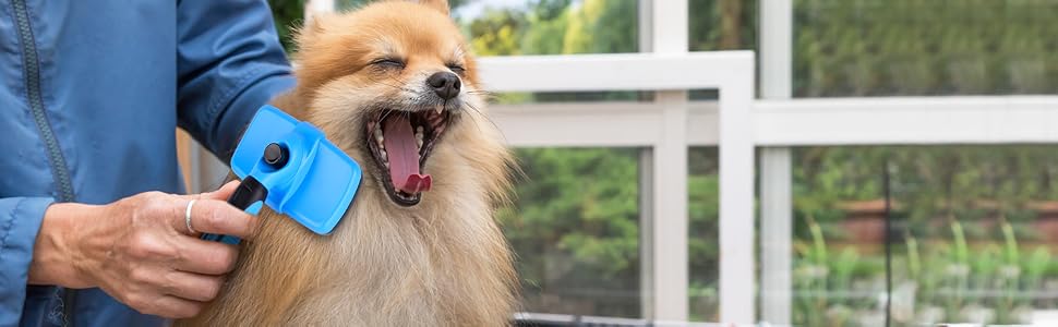 Fida dog brush