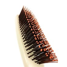 Giorgio Ivory Rounded Bristle EBC