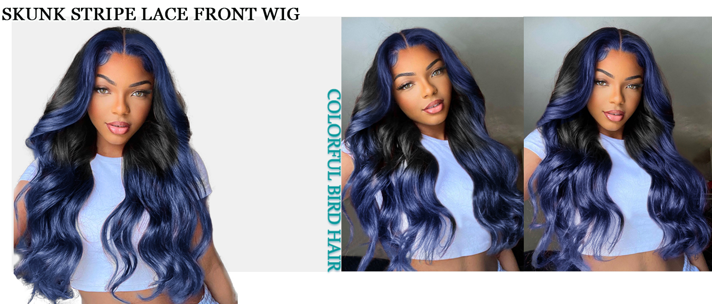 Skunk stripe lace front wig