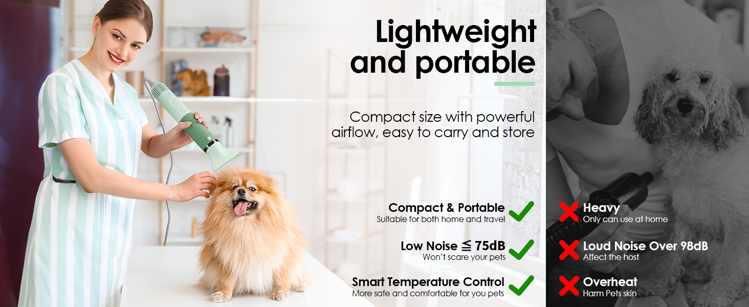 pet blow dryer