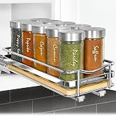 Pull Out Spice Rack Organizer